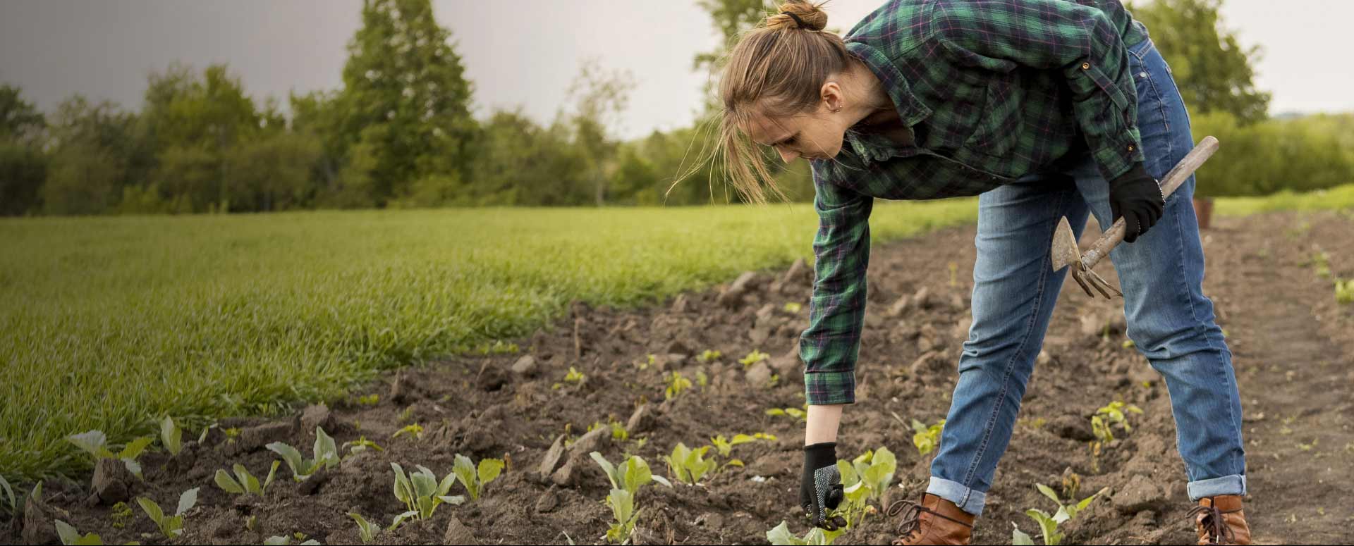 Sistema Industrial NFT - Altos de Aragua