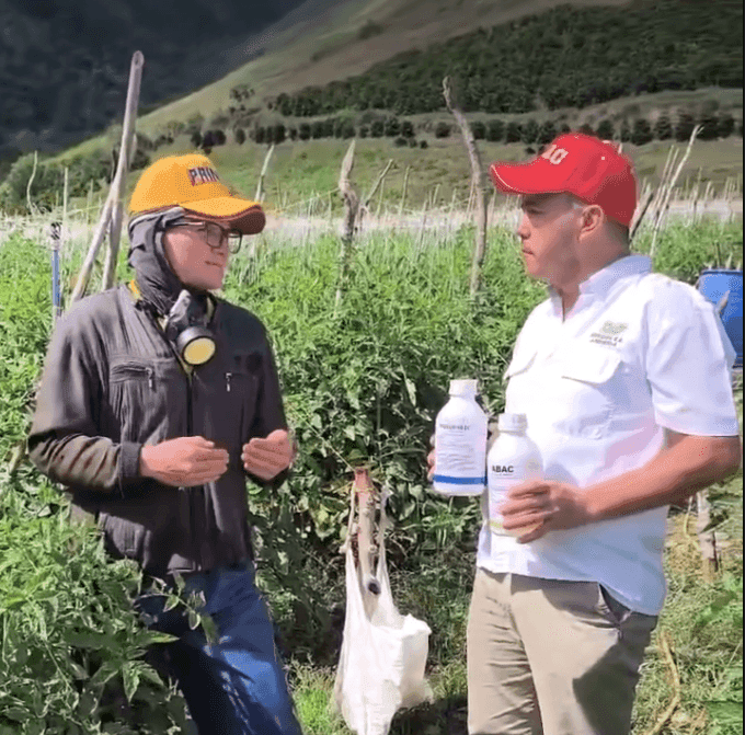 Testimonio de Productor de tomate